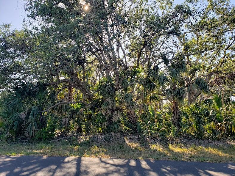 A wooded lot with mature trees and palm trees borders an asphalt road — 15492 CHAMBERLAIN BOULEVARD, PORT CHARLOTTE, FL