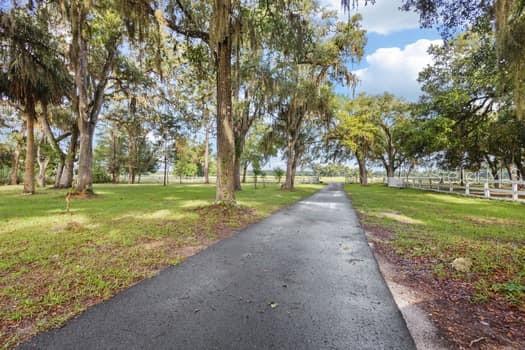 A paved driveway leads through a grassy yard shaded by large, moss-draped oak trees — 3551 NW 60TH AVENUE, CHIEFLAND, FL