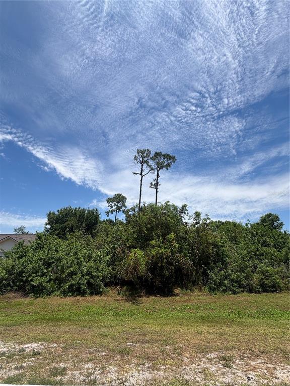 A vacant, overgrown lot features dense green vegetation and two tall pine trees — 26492 NOTRE DAME BOULEVARD, PUNTA GORDA, FL