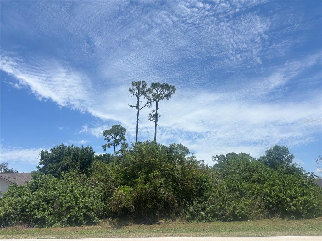 A vacant, overgrown lot with several tall pine trees under a blue sky — 26492 NOTRE DAME BOULEVARD, PUNTA GORDA, FL