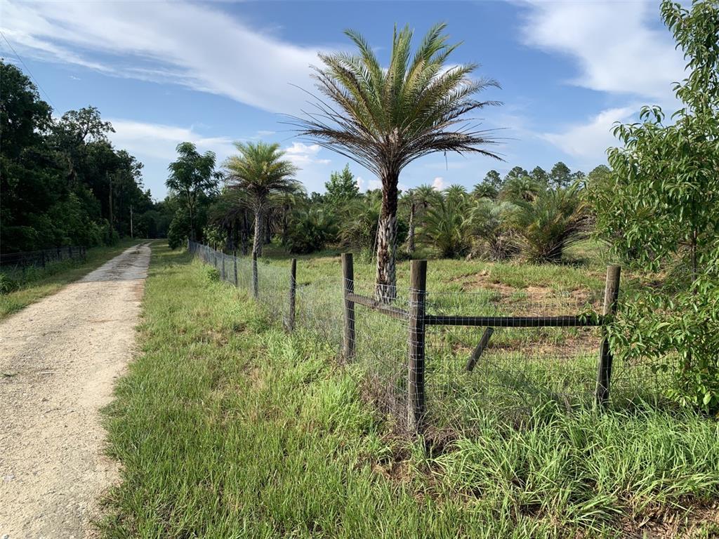 A dirt road runs alongside a fenced grassy lot with several palm trees — DAN BROWN HILL ROAD Lot 1, BROOKSVILLE, FL