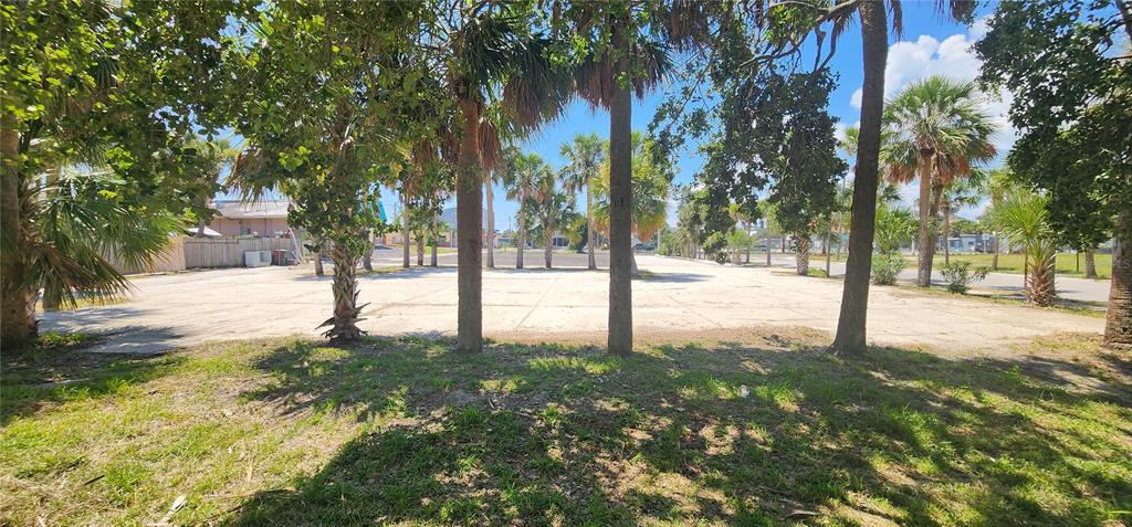 A flat, paved vacant lot is framed by several palm trees under a blue sky — E INTERNATIONAL SPEEDWAY BOULEVARD, DAYTONA BEACH, FL