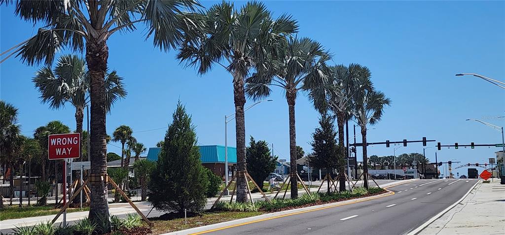 A row of palm trees lines a paved road with a wrong way sign nearby — E INTERNATIONAL SPEEDWAY BOULEVARD, DAYTONA BEACH, FL
