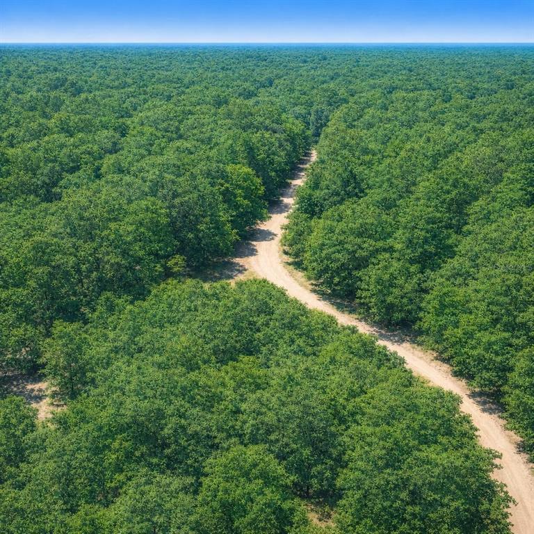 An aerial view shows a dirt road winding through a dense, green forest — SW 40TH STREET, OCALA, FL