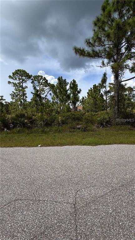 A view of a vacant, wooded lot from an asphalt road under a cloudy sky — 12060 BENHAM AVENUE, PORT CHARLOTTE, FL