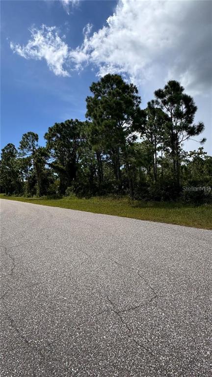 An asphalt road runs alongside a wooded area with tall pine trees under a sky — 12060 BENHAM AVENUE, PORT CHARLOTTE, FL