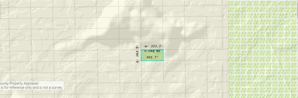 This is a map showing a rectangular property lot with dimensions of 333.3 feet by 162.5 feet — DILL ROAD, ORLANDO, FL