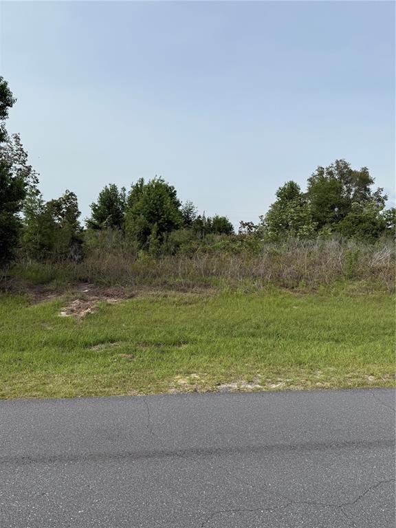 TBD SW 129TH LANE, OCALA, FL — photo 3 of 3