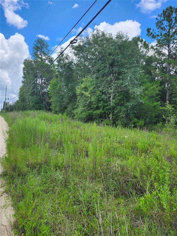 A dirt road runs alongside a grassy field bordered by a dense line of trees — 7649 CASA GRANDE, KEYSTONE HEIGHTS, FL