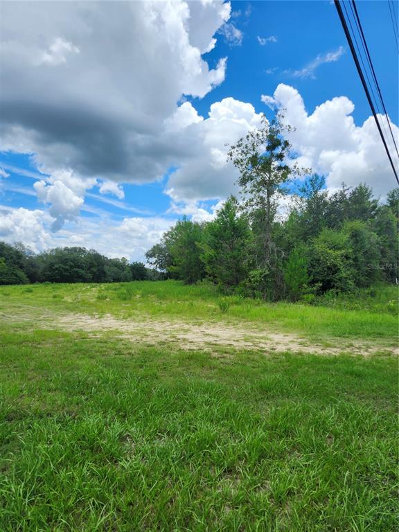 A grassy, partially cleared lot features scattered trees under a bright, cloudy blue sky — 7649 CASA GRANDE, KEYSTONE HEIGHTS, FL