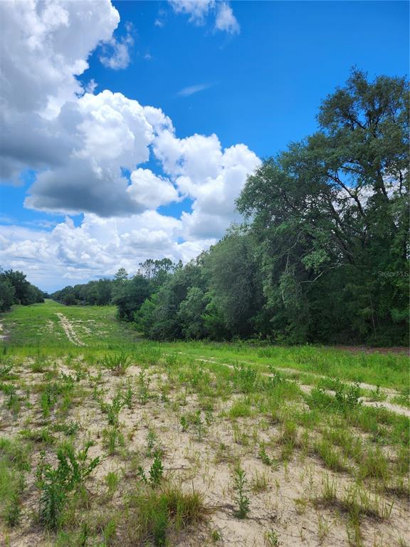 A grassy, sandy lot with sparse vegetation borders a dense line of trees under a sky — 7649 CASA GRANDE, KEYSTONE HEIGHTS, FL