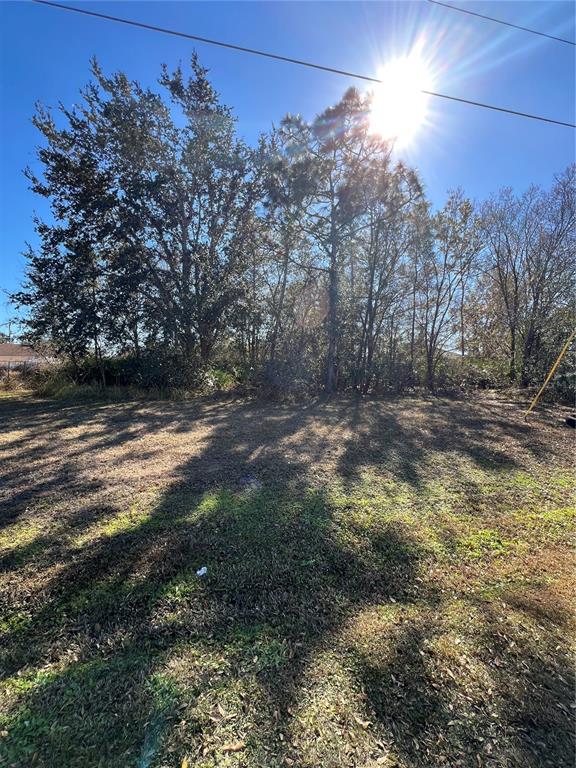A vacant, grassy lot features a line of tall trees under a bright sun — CAMBOURNE DRIVE, KISSIMMEE, FL