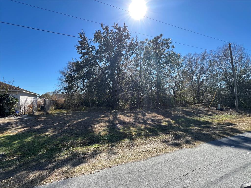 A vacant, grassy lot with trees is situated next to a house and a road — CAMBOURNE DRIVE, KISSIMMEE, FL
