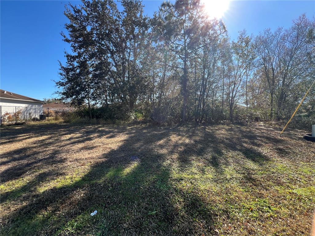 A grassy backyard features a line of tall trees under a bright, sunny sky — CAMBOURNE DRIVE, KISSIMMEE, FL