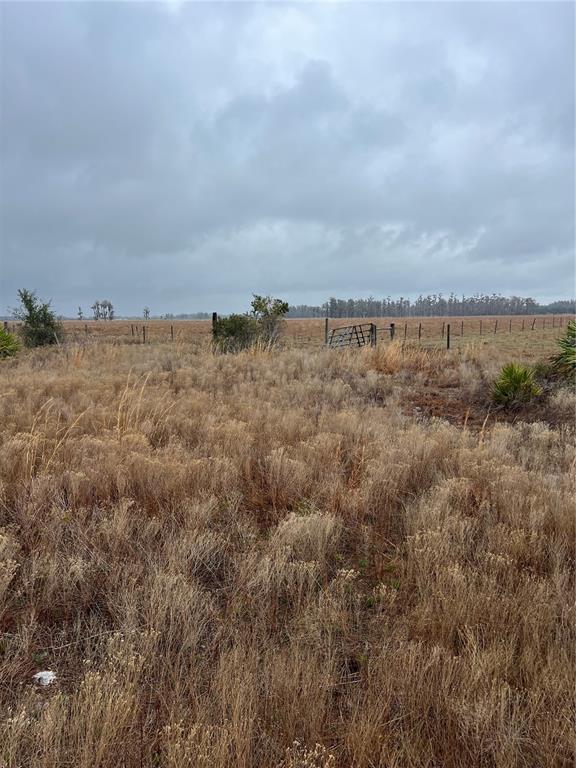 A grassy, undeveloped field features a wire fence and a metal gate under a cloudy sky — 1137 HOPKINS LANE, ZOLFO SPRINGS, FL