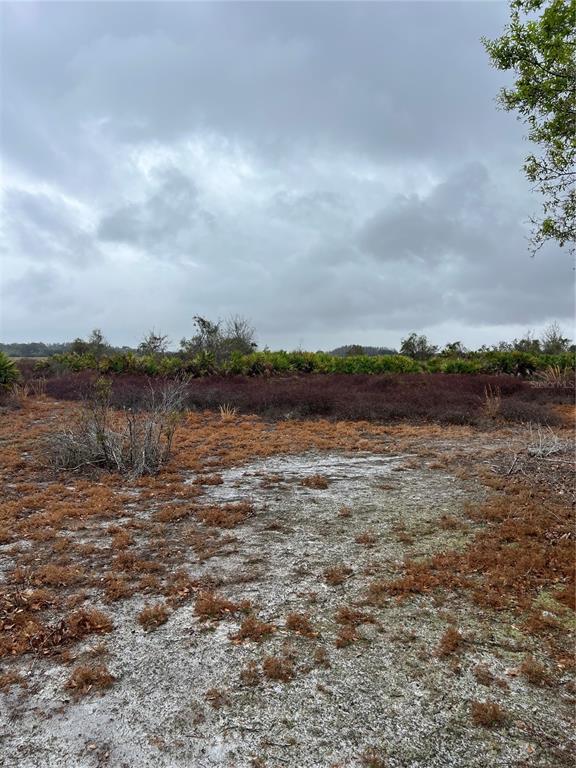 A view of a flat, sandy, undeveloped lot with low-lying brush and distant trees — 1137 HOPKINS LANE, ZOLFO SPRINGS, FL