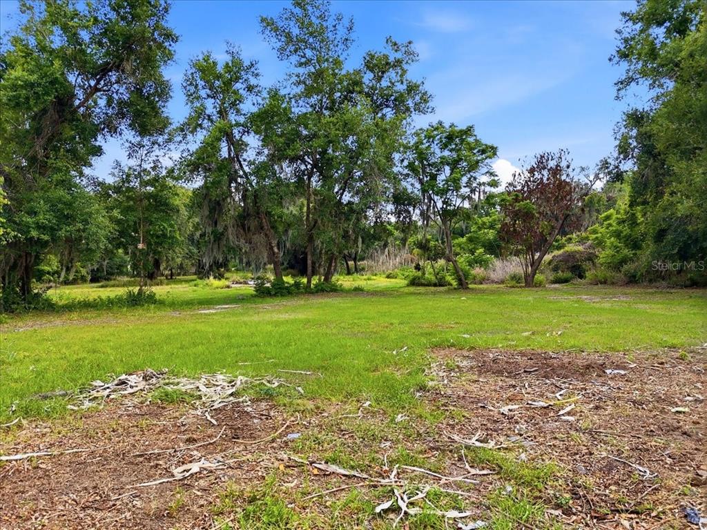 A grassy, partially cleared lot is surrounded by mature trees under a blue sky — 1705 MARSHALL STREET, BARTOW, FL