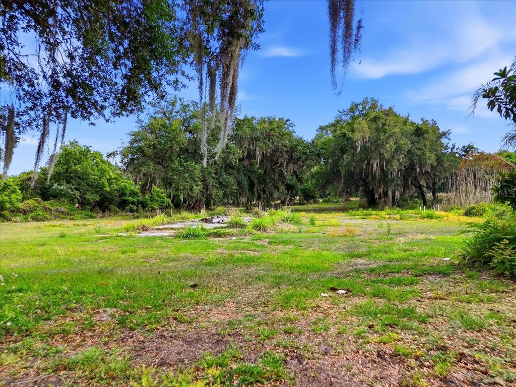 A grassy, open lot features scattered debris and mature trees draped with Spanish moss — 1705 MARSHALL STREET, BARTOW, FL