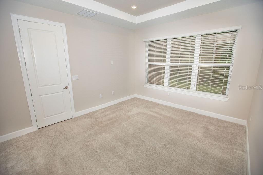 An empty bedroom features neutral walls, beige carpeting, a tray ceiling, and a large window — 4605 ROSATTI ROAD, WESLEY CHAPEL, FL