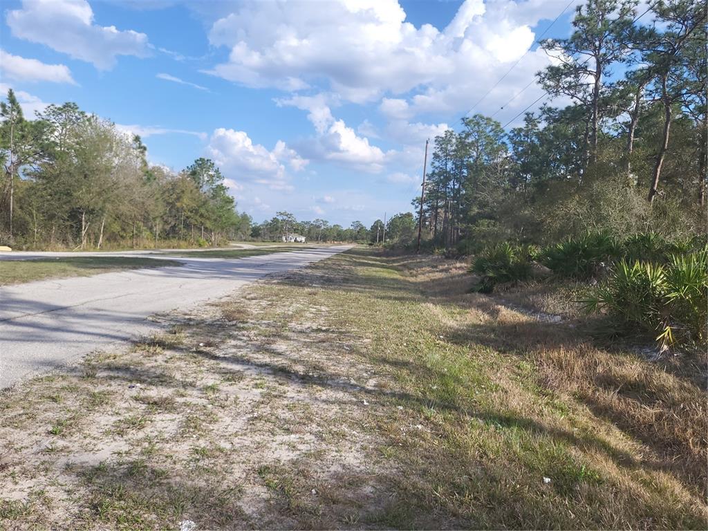 A paved road stretches through a rural area with trees and scrub vegetation under clouds — 0 SW ORLANDO DRIVE UNIT 10, INDIAN LAKE ESTATES, FL
