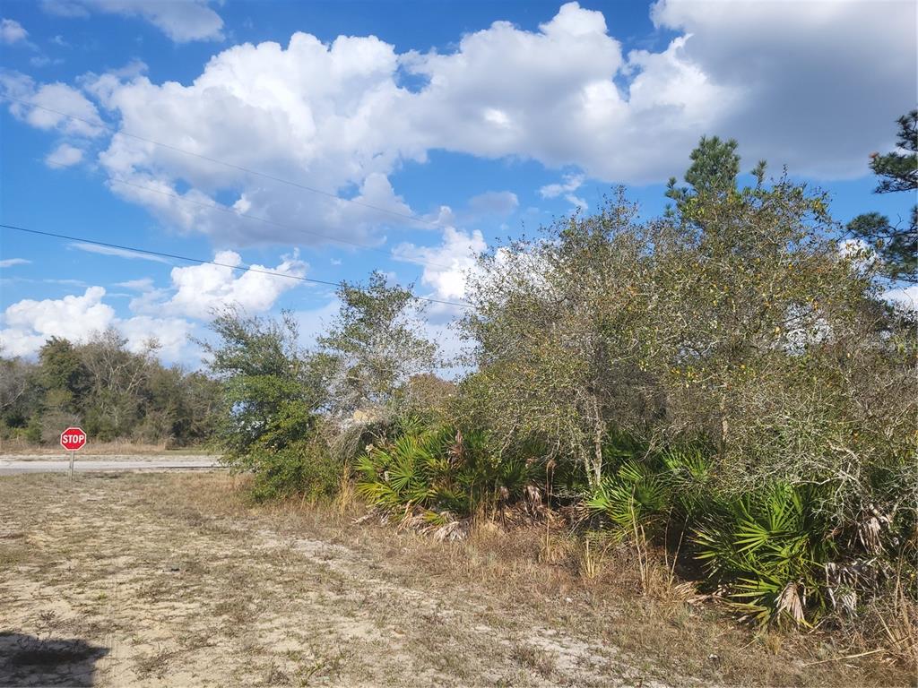 A stop sign stands near a dirt road bordering a patch of trees and palmettos — 0 SW ORLANDO DRIVE UNIT 10, INDIAN LAKE ESTATES, FL