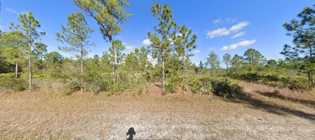 A vacant, wooded lot with tall pine trees and low-lying brush under a clear sky — 522 TROPICANA DRIVE, INDIAN LAKE ESTATES, FL