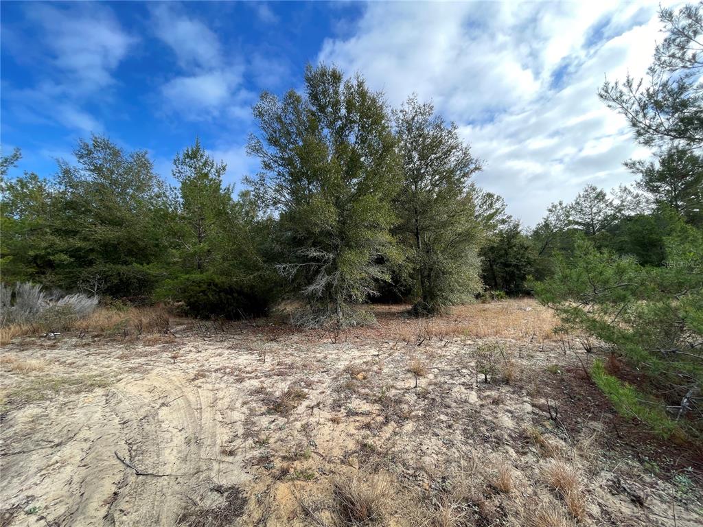00 SR 20, INTERLACHEN, FL — photo 5 of 7