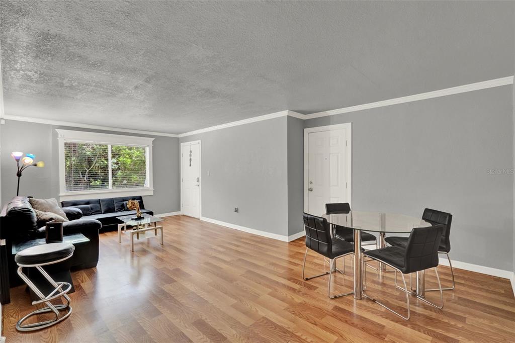 A living and dining area with gray walls, hardwood floors, and modern black furniture — 1940 CONWAY UNIT 8, ORLANDO, FL