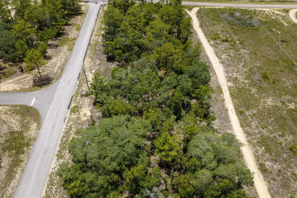 An aerial view shows a wooded lot situated between a paved road and a dirt path — 6830 N SANDBORN LOOP, CITRUS SPRINGS, FL