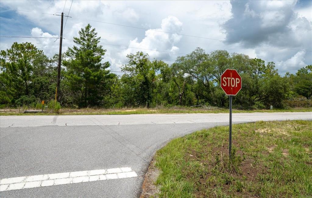 A stop sign stands at the edge of a paved road bordering a wooded lot — 6830 N SANDBORN LOOP, CITRUS SPRINGS, FL