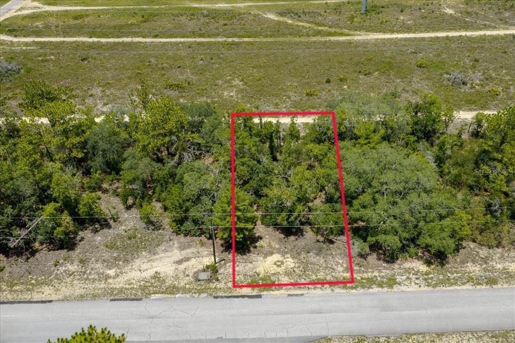 An aerial view shows a rectangular, wooded vacant lot outlined in red along a road — 6830 N SANDBORN LOOP, CITRUS SPRINGS, FL