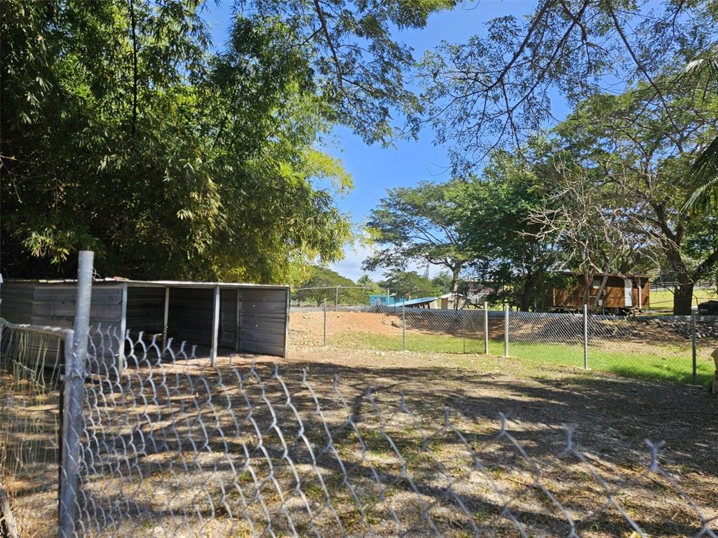 A fenced outdoor area features a metal shed and trees under a clear blue sky — 101 CAMINO COFRESI, CABO ROJO, PR