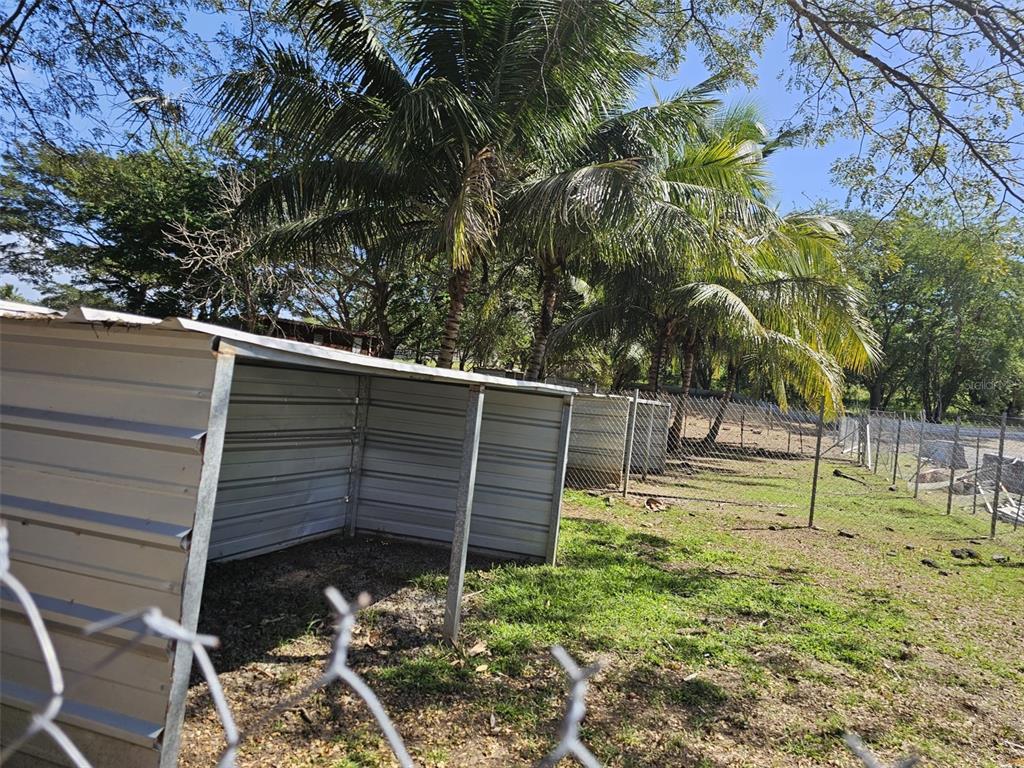 A row of metal animal shelters sits in a grassy yard under palm trees — 101 CAMINO COFRESI, CABO ROJO, PR