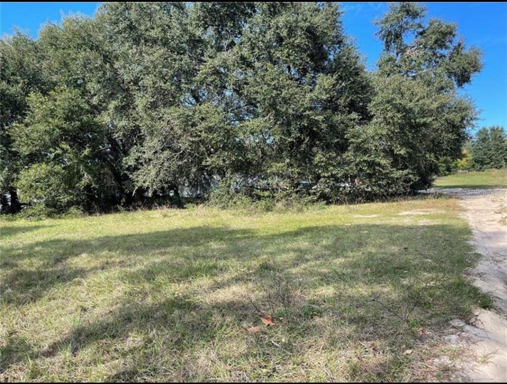 A grassy, undeveloped lot features a dense cluster of mature trees in the background — 2109 BYRON STREET, INVERNESS, FL