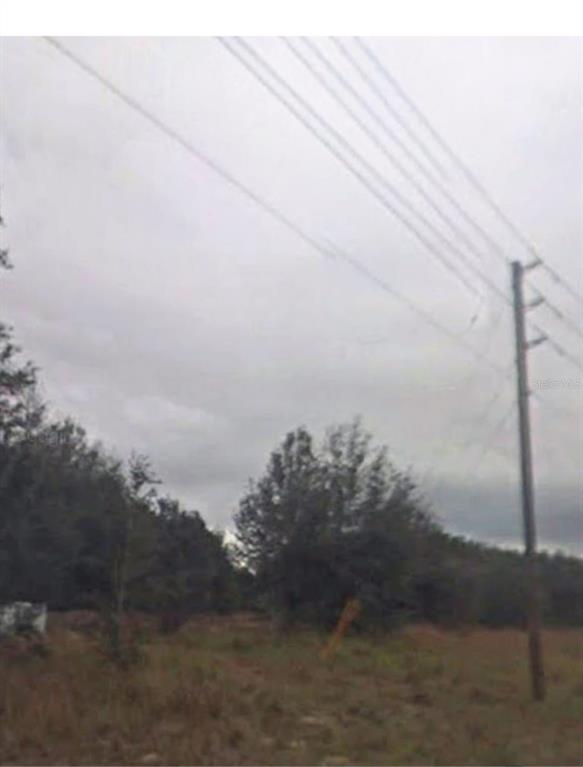 A utility pole stands on a grassy, undeveloped lot with trees under a cloudy sky — 2109 BYRON STREET, INVERNESS, FL