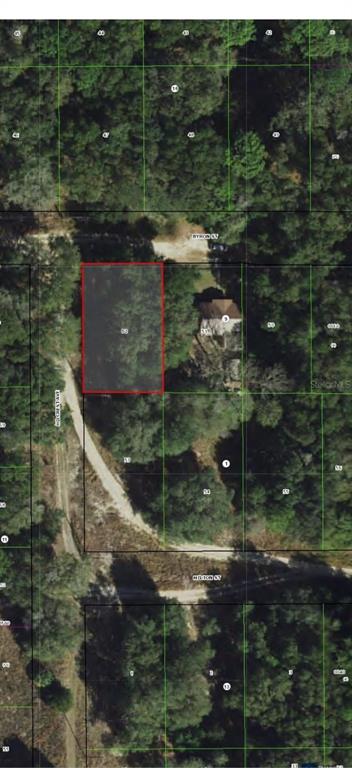 This is a satellite map view showing a highlighted vacant lot among wooded residential parcels — 2109 BYRON STREET, INVERNESS, FL