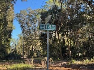 A street sign for E 135 Ave stands in a wooded area with tall trees — TBD NE 135 AVENUE, FORT MC COY, FL