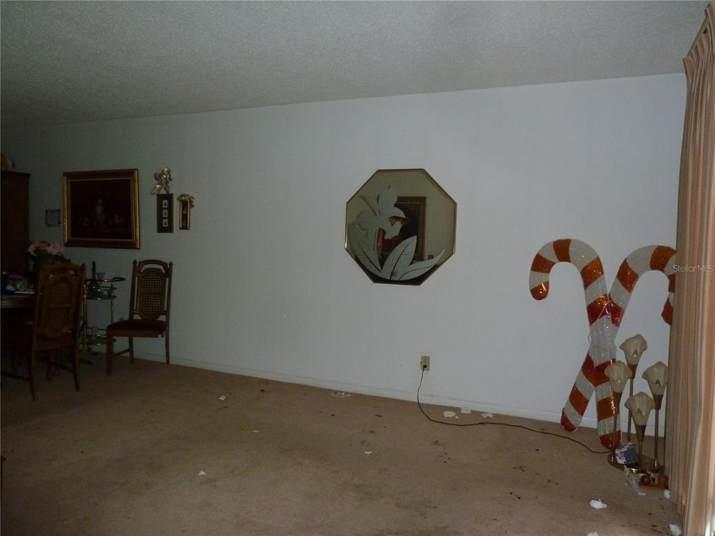 A living room features beige carpeting, white walls, wall decor, and large candy cane decorations — 16224 SAWGRASS CIRCLE, TAMPA, FL