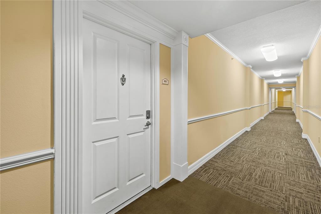 A white door with a knocker and electronic lock sits in a long carpeted hallway — 4516 SEAGULL DRIVE UNIT 805, NEW PORT RICHEY, FL