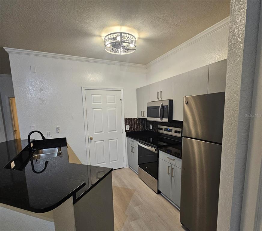 A kitchen features gray cabinets, black countertops, stainless steel appliances, and light-colored wood flooring — 3621 CONROY ROAD UNIT 738, ORLANDO, FL