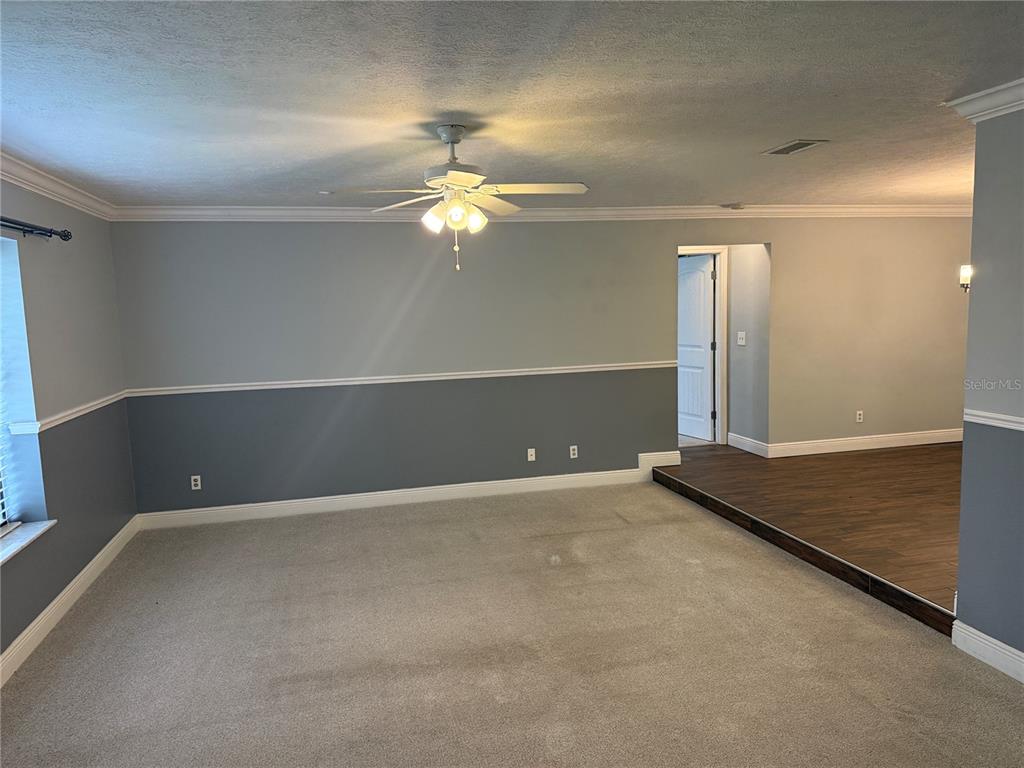 A living room with gray walls, white trim, carpeted flooring, and a raised dining area — 9217 KINGSRIDGE DRIVE, TEMPLE TERRACE, FL