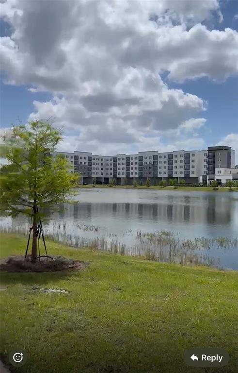 A multi-story apartment building stands behind a pond with a small tree in the foreground — 5579 MILLENIA PARK BOULEVARD UNIT 203, ORLANDO, FL