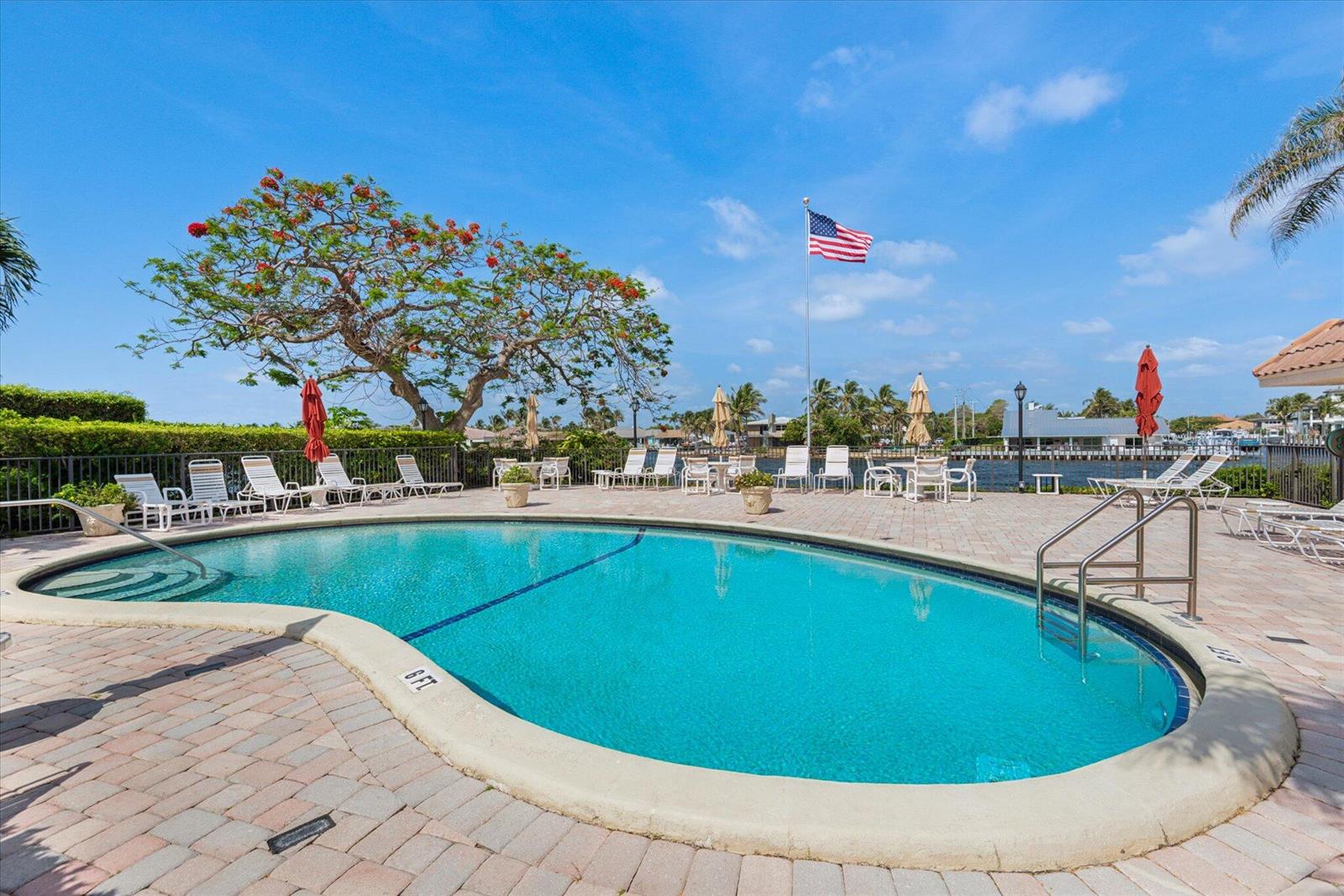 An outdoor swimming pool with lounge chairs and a large tree under a blue sky — 985 SE 19TH Avenue # 303, Deerfield Beach FL 33441, DEERFIELD BEACH, FL