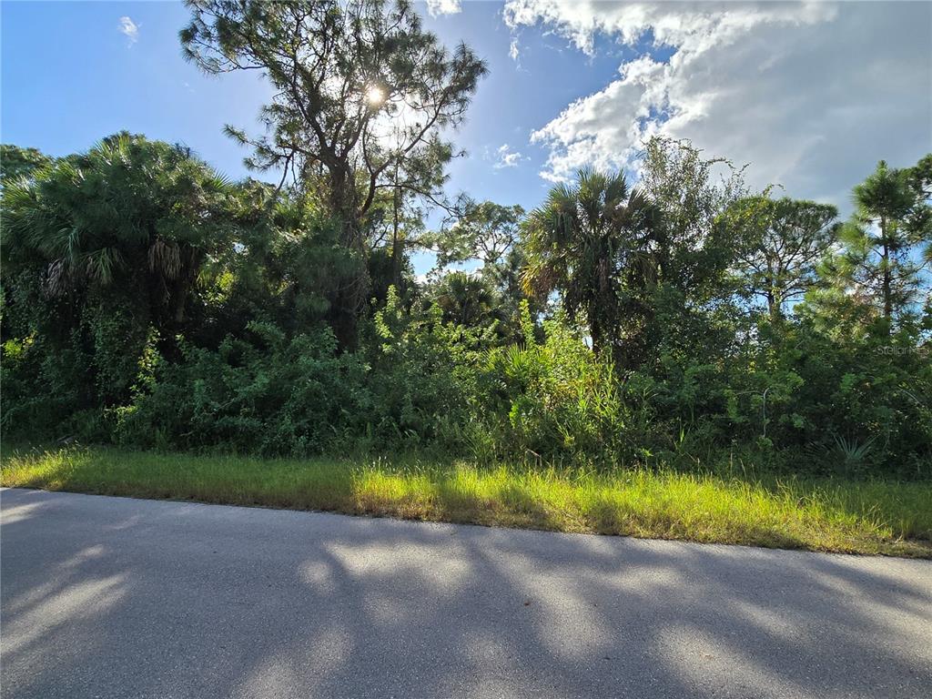 A paved road runs in front of a densely wooded, undeveloped lot with tall trees — 454 NAPLES AVENUE S, LEHIGH ACRES, FL