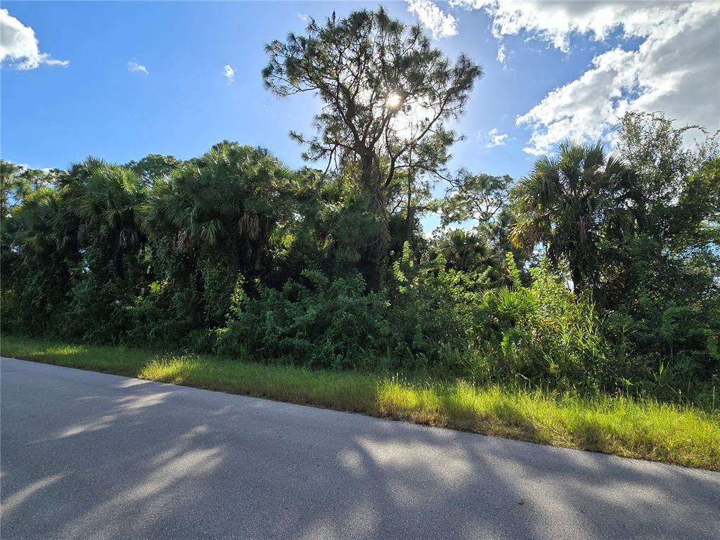 A paved road runs alongside a dense, wooded lot with palm trees and a tall pine — 454 NAPLES AVENUE S, LEHIGH ACRES, FL