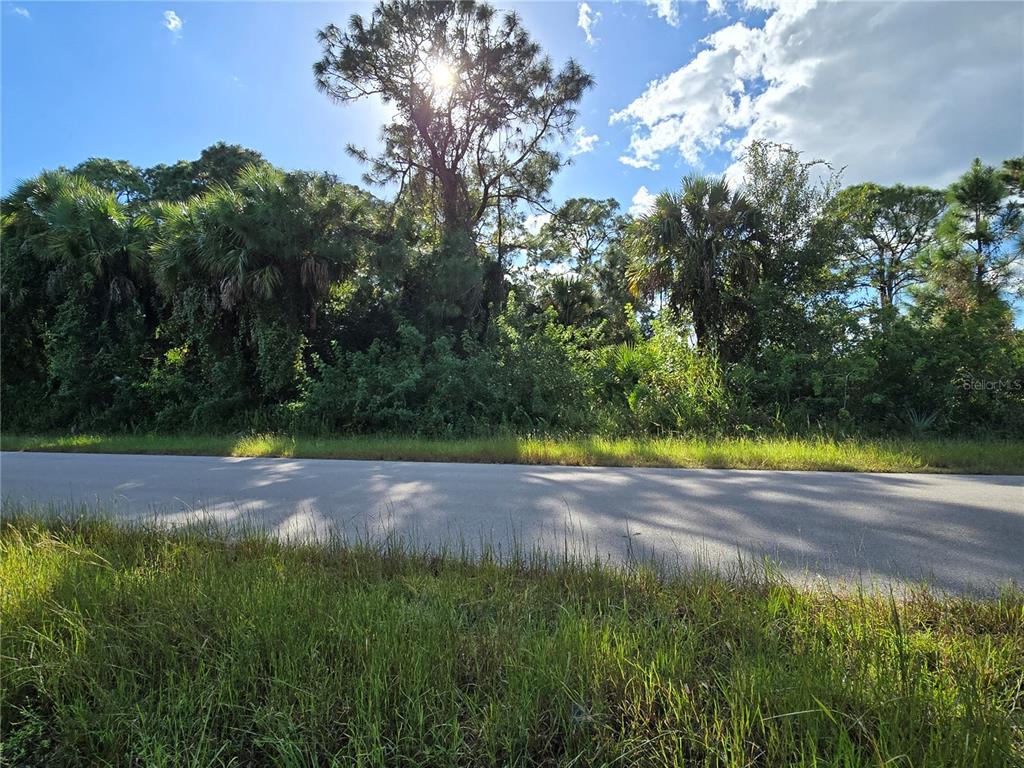 A paved road runs in front of a densely wooded, undeveloped lot — 454 NAPLES AVENUE S, LEHIGH ACRES, FL