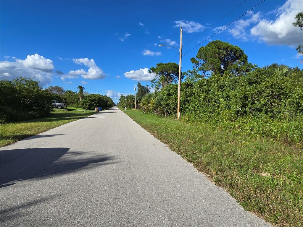 A paved road stretches into the distance, flanked by dense green vegetation and utility poles — 454 NAPLES AVENUE S, LEHIGH ACRES, FL