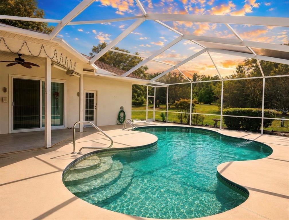 A screened-in patio features a kidney-shaped swimming pool with steps and a concrete deck — 48 N CRYSTAL MEADOW PATH, LECANTO, FL