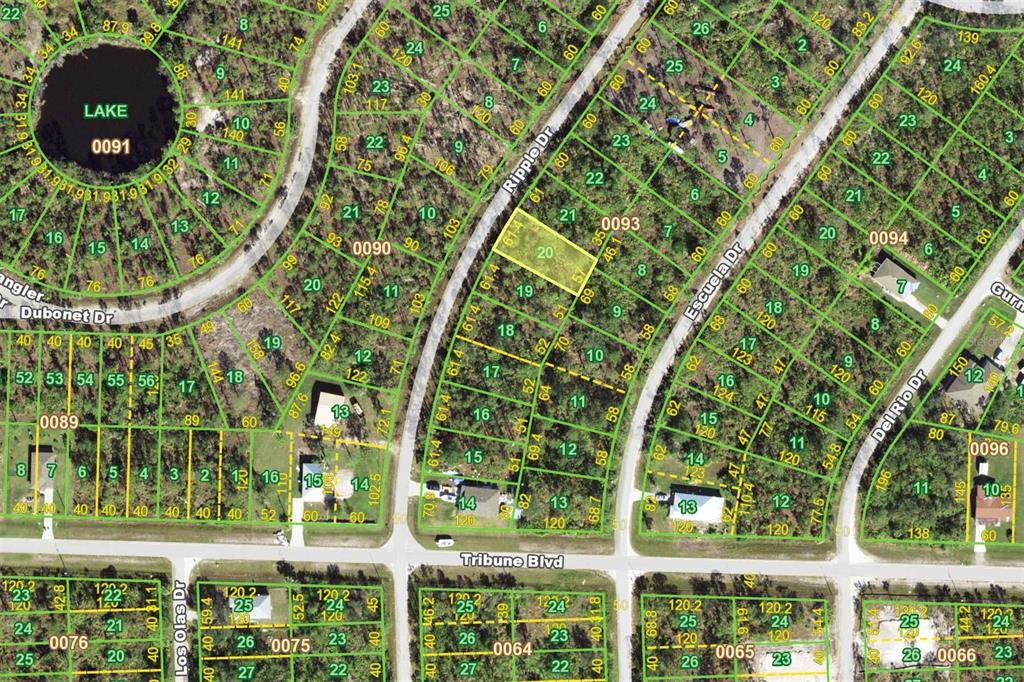 This is a map showing residential property lots and street layouts in a neighborhood — 12232 RIPPLE DRIVE, PUNTA GORDA, FL
