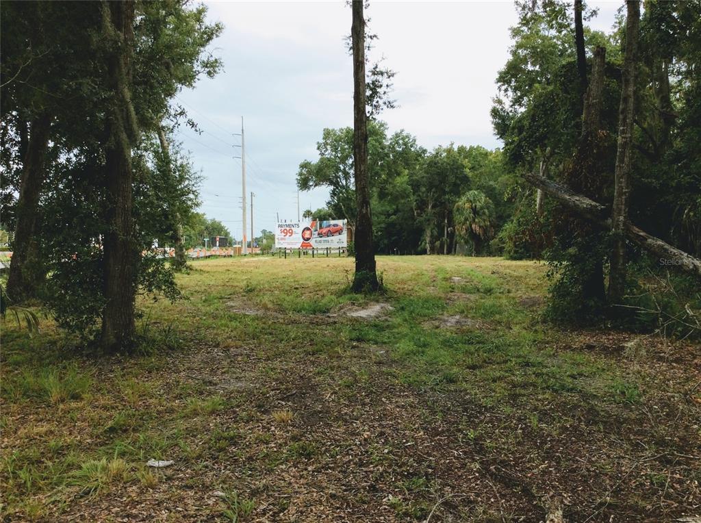 A grassy, partially wooded vacant lot features a large billboard in the background — 8780 W KINGSTON DRIVE, HOMOSASSA, FL